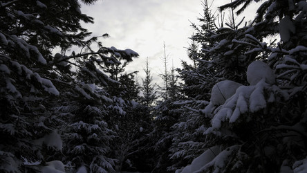 Similar image 22482189