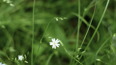 Similar image 22482204