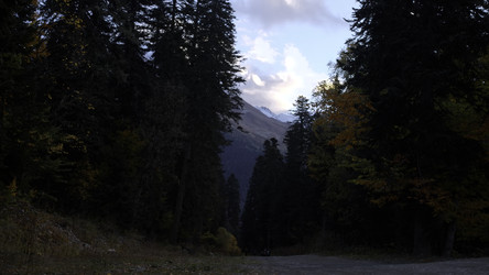 Similar image 22482232