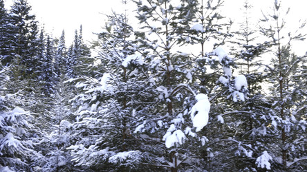 Similar image 22500169