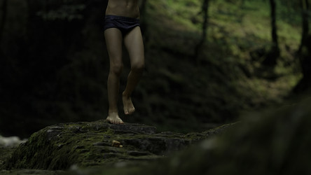 Similar image 22500257