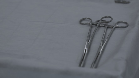 Similar image 22481066