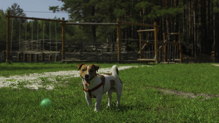 Similar image 22481185