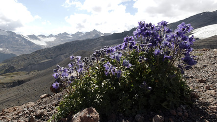 Similar image 22481529