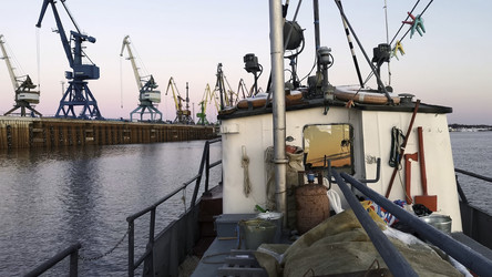 Similar image 22482217