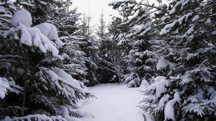 Similar image 22482218