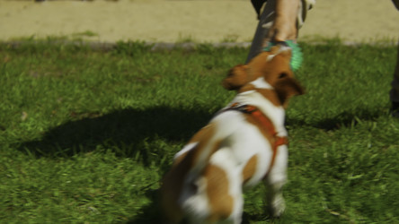 Similar image 22482342