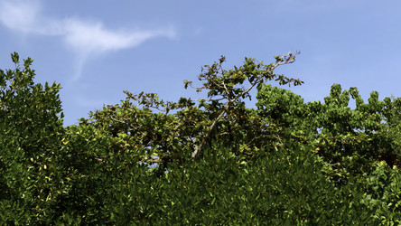 Similar image 22482533