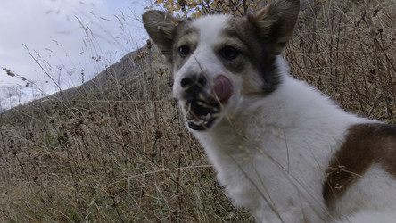 Similar image 22489736