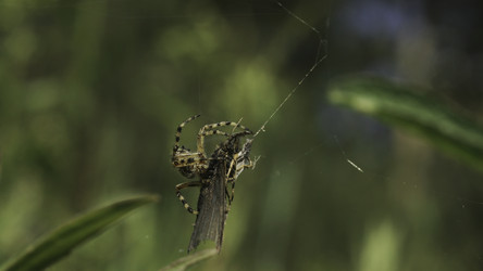 Similar image 22489737