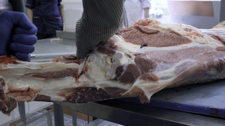 Similar image 22500186