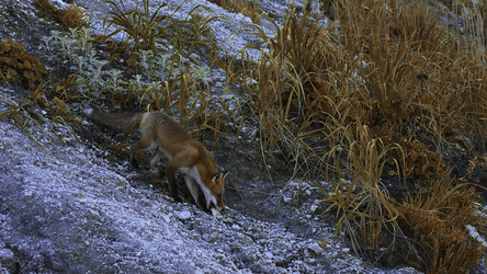 Similar image 22500259