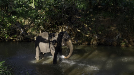 Similar image 22500485