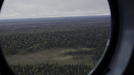 Similar image 22500500
