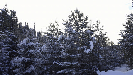 Similar image 22481263