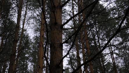 Similar image 22481398