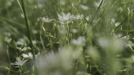 Similar image 22481470