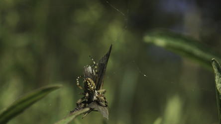 Similar image 22482164