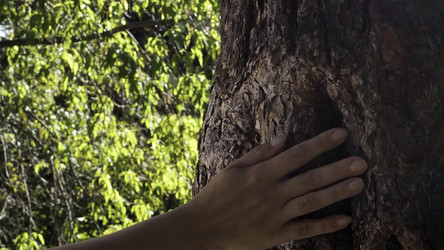 Similar image 22482279