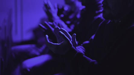 Similar image 22500110