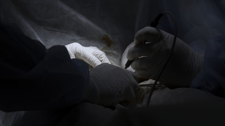 Similar image 22480904