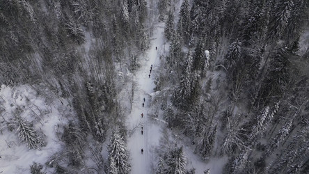 Similar image 22481099