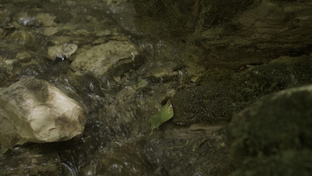 Similar image 22481230