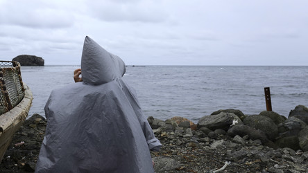 Similar image 22481320