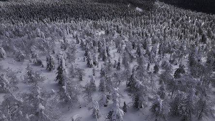 Similar image 22481366