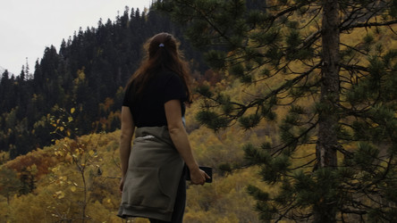 Similar image 22481637