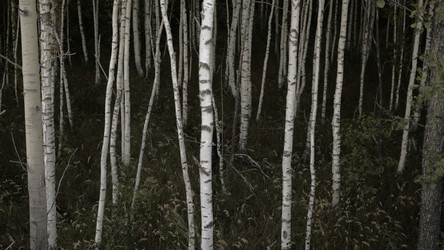 Similar image 22481696