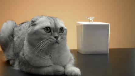 Similar image 22481712