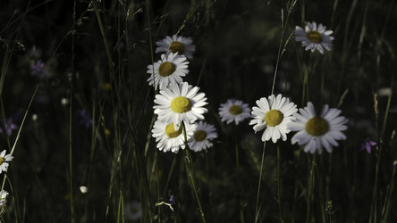 Similar image 22481980