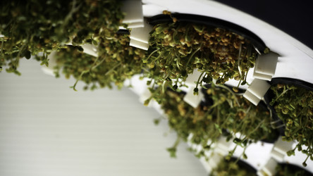 Similar image 22482322