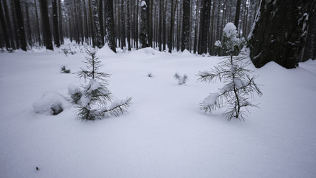 Similar image 22482344