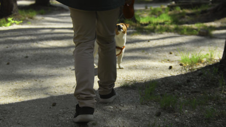 Similar image 22482595