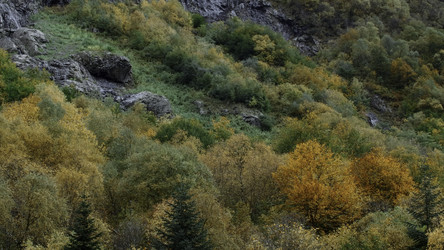 Similar image 22489749