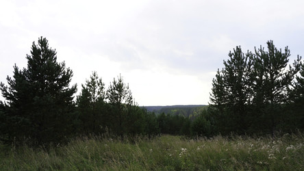 Similar image 22489810