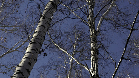 Similar image 22499895