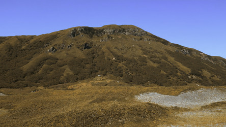 Similar image 22499927