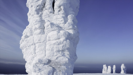 Similar image 22499945