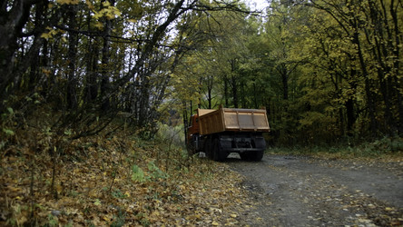 Similar image 22500231