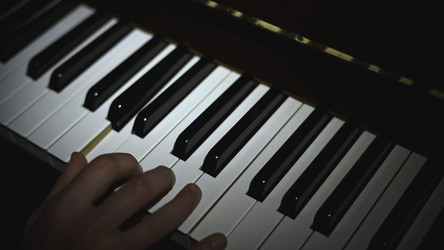 Similar image 22500320