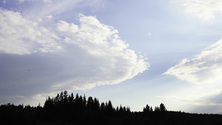 Similar image 22500425