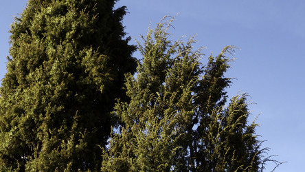 Similar image 22500474