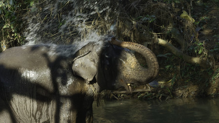 Similar image 22500488