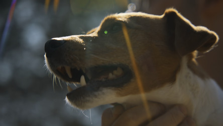 Similar image 22481216