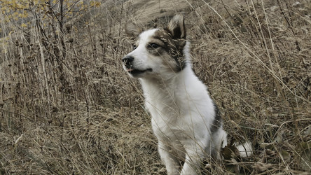 Similar image 22481264