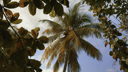 Similar image 22481411