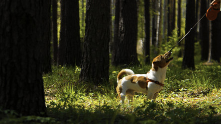 Similar image 22481607